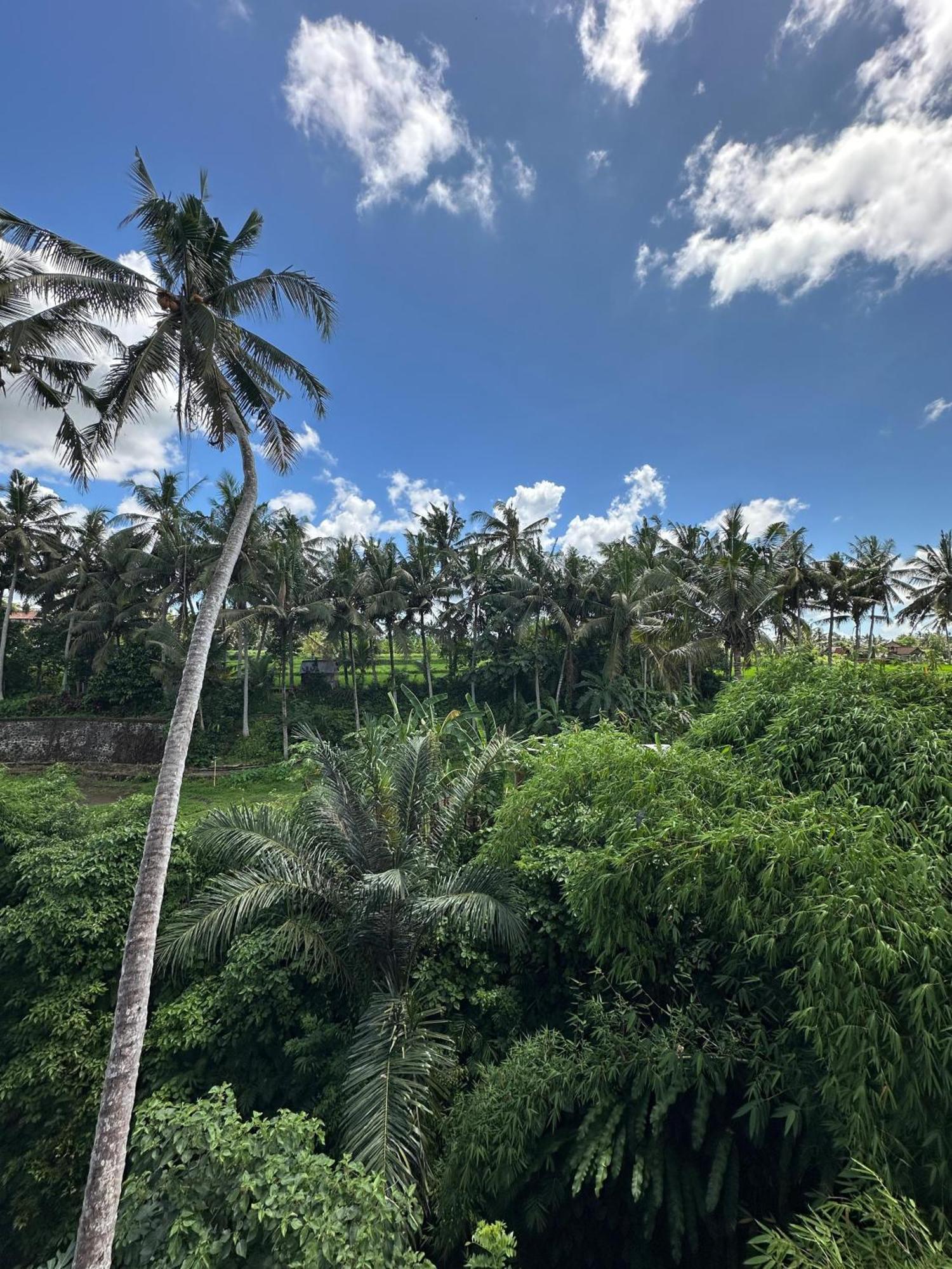 Tagel Karsa House Hotel Ubud  Exterior photo